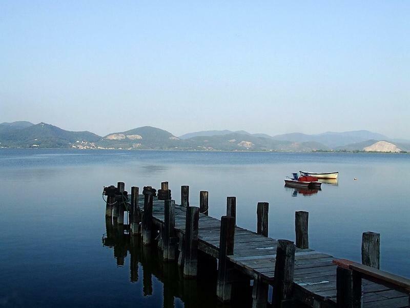 Melon'S House Torre del Lago Puccini Exterior photo